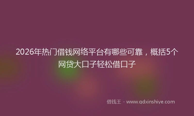 2026年热门借钱网络平台有哪些可靠，概括5个网贷大口子轻松借口子