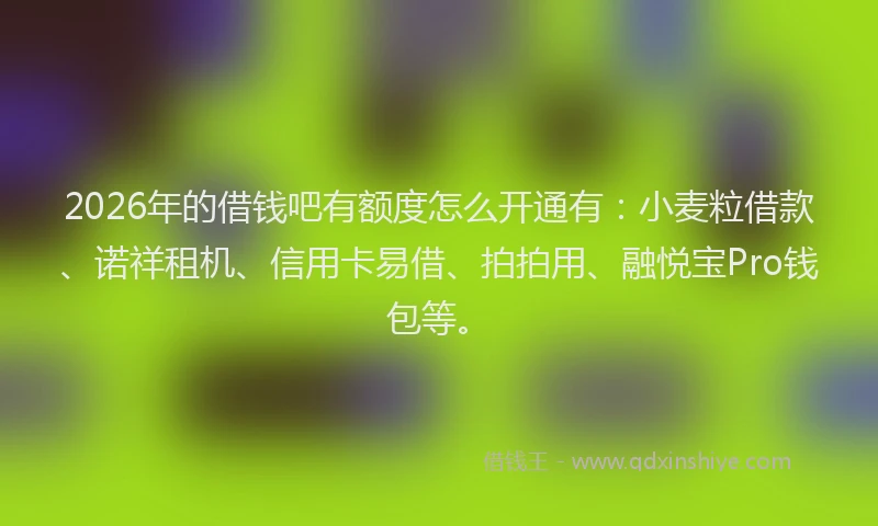 2026年的借钱吧有额度怎么开通有：小麦粒借款、诺祥租机、信用卡易借、拍拍用、融悦宝Pro钱包等。