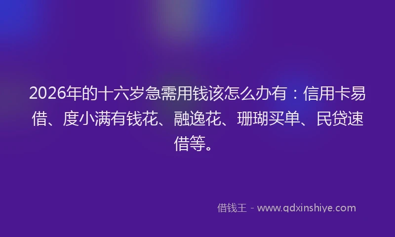 2026年的十六岁急需用钱该怎么办有：信用卡易借、度小满有钱花、融逸花、珊瑚买单、民贷速借等。