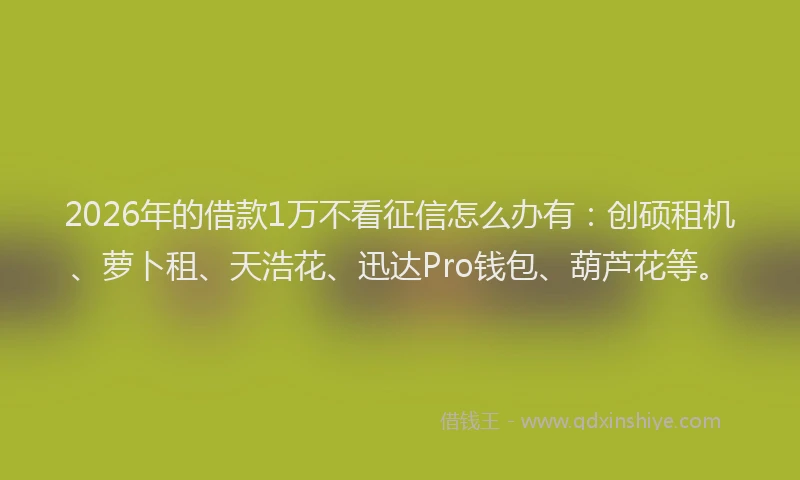 2026年的借款1万不看征信怎么办有：创硕租机、萝卜租、天浩花、迅达Pro钱包、葫芦花等。