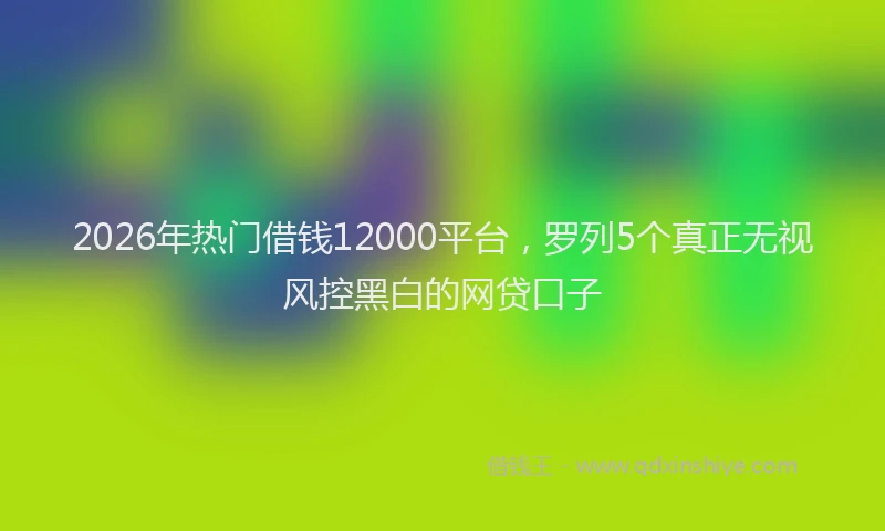 2026年热门借钱12000平台，罗列5个真正无视风控黑白的网贷口子