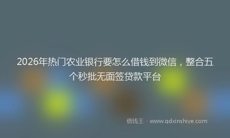 2026年热门农业银行要怎么借钱到微信，整合五个秒批无面签贷款平台