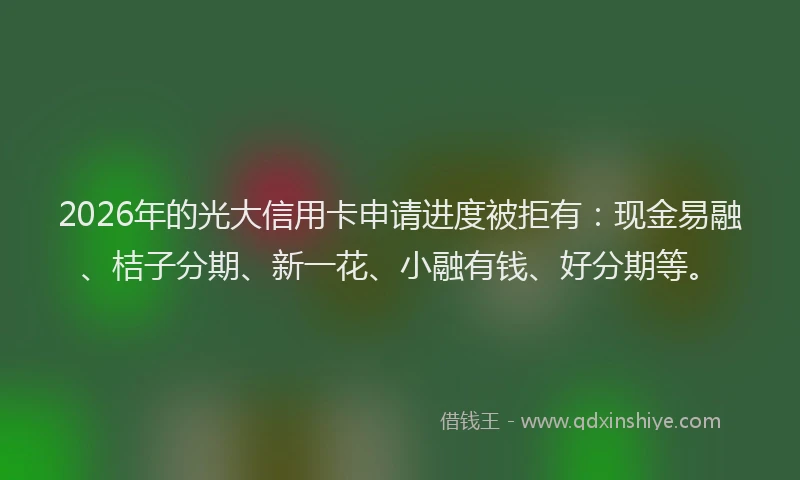 2026年的光大信用卡申请进度被拒有：现金易融、桔子分期、新一花、小融有钱、好分期等。