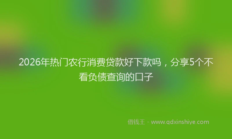 2026年热门农行消费贷款好下款吗，分享5个不看负债查询的口子