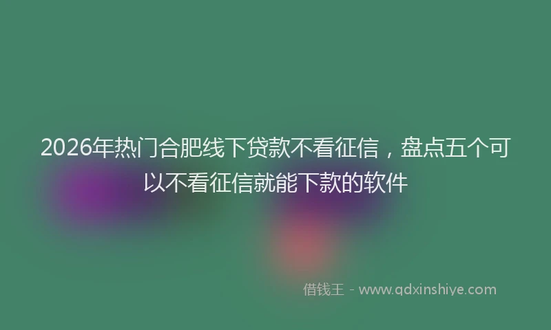 2026年热门合肥线下贷款不看征信，盘点五个可以不看征信就能下款的软件