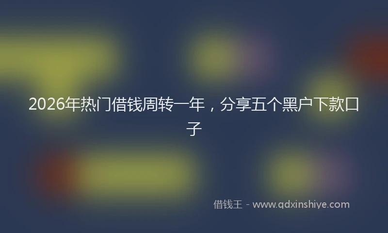 2026年热门借钱周转一年，分享五个黑户下款口子