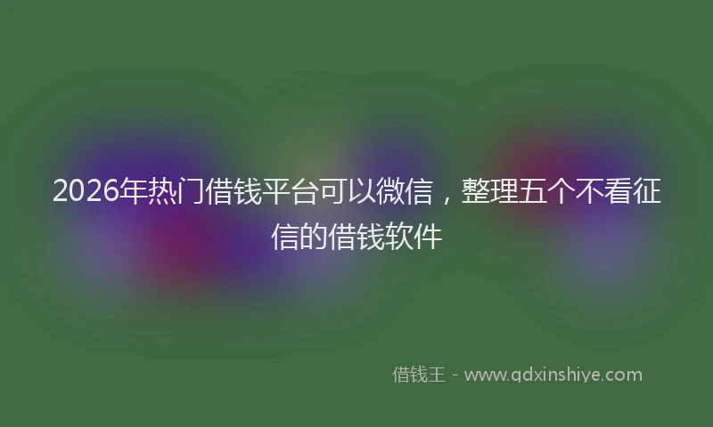 2026年热门借钱平台可以微信，整理五个不看征信的借钱软件