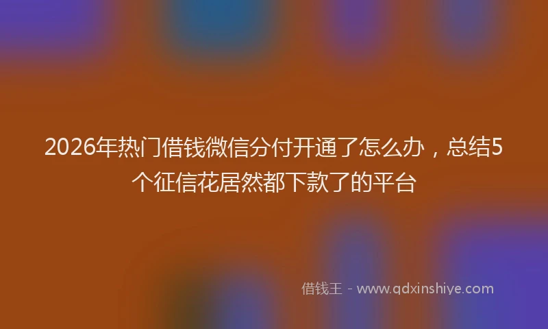 2026年热门借钱微信分付开通了怎么办，总结5个征信花居然都下款了的平台