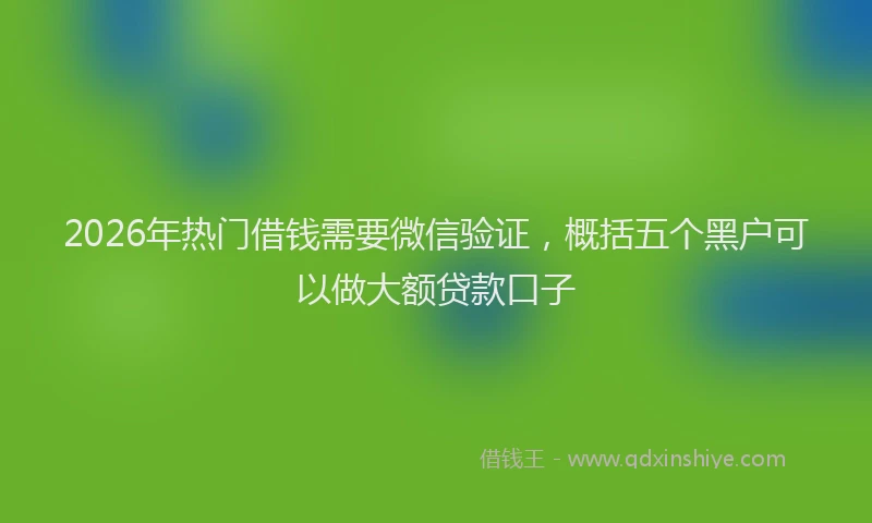 2026年热门借钱需要微信验证，概括五个黑户可以做大额贷款口子