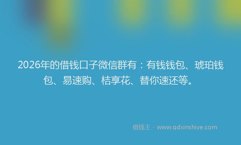 2026年的借钱口子微信群有：有钱钱包、琥珀钱包、易速购、桔享花、替你速还等。