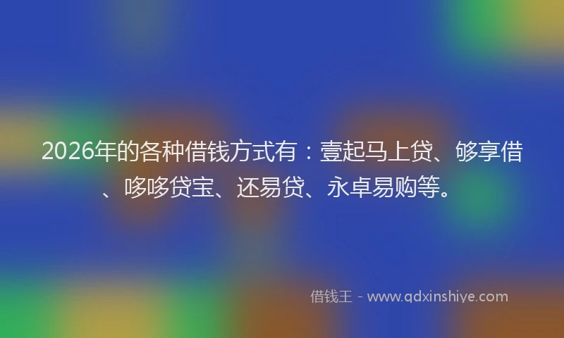 2026年的各种借钱方式有：壹起马上贷、够享借、哆哆贷宝、还易贷、永卓易购等。