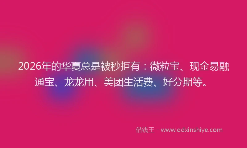 2026年的华夏总是被秒拒有：微粒宝、现金易融通宝、龙龙用、美团生活费、好分期等。