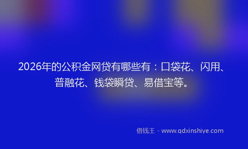2026年的公积金网贷有哪些有：口袋花、闪用、普融花、钱袋瞬贷、易借宝等。