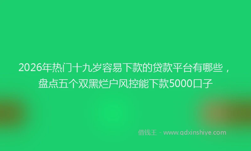 2026年热门十九岁容易下款的贷款平台有哪些，盘点五个双黑烂户风控能下款5000口子
