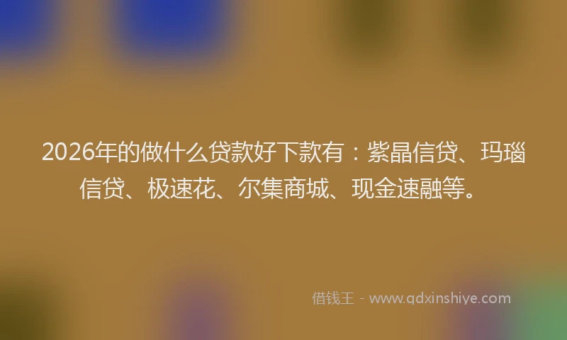 2026年的做什么贷款好下款有：紫晶信贷、玛瑙信贷、极速花、尔集商城、现金速融等。