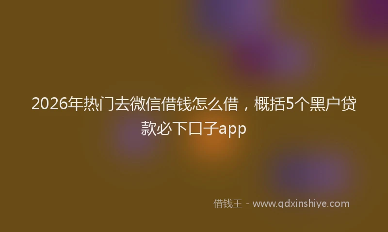 2026年热门去微信借钱怎么借，概括5个黑户贷款必下口子app