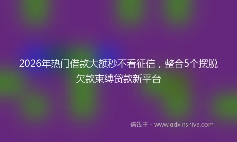 2026年热门借款大额秒不看征信，整合5个摆脱欠款束缚贷款新平台
