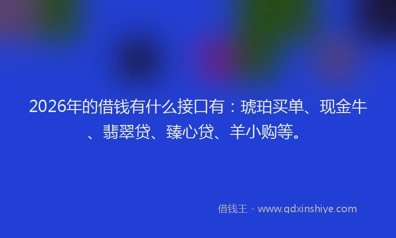 2026年的借钱有什么接口有：琥珀买单、现金牛、翡翠贷、臻心贷、羊小购等。