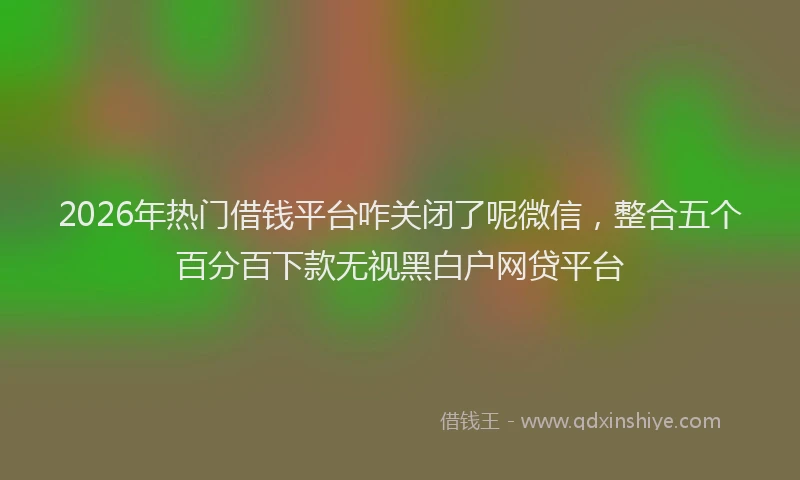 2026年热门借钱平台咋关闭了呢微信，整合五个百分百下款无视黑白户网贷平台