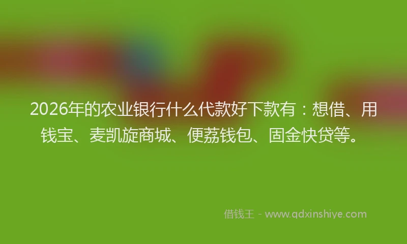 2026年的农业银行什么代款好下款有：想借、用钱宝、麦凯旋商城、便荔钱包、固金快贷等。