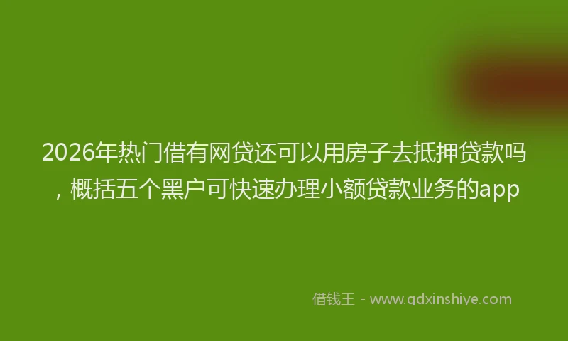 2026年热门借有网贷还可以用房子去抵押贷款吗，概括五个黑户可快速办理小额贷款业务的app