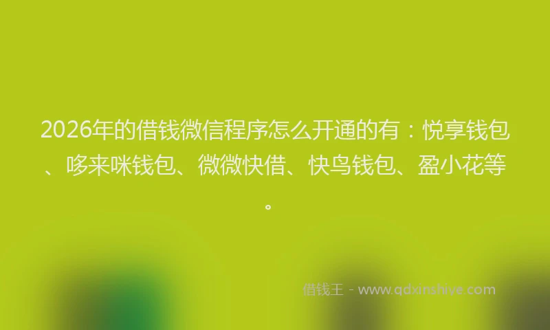 2026年的借钱微信程序怎么开通的有：悦享钱包、哆来咪钱包、微微快借、快鸟钱包、盈小花等。