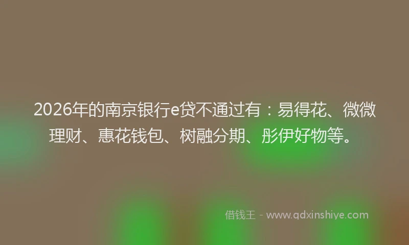 2026年的南京银行e贷不通过有：易得花、微微理财、惠花钱包、树融分期、彤伊好物等。