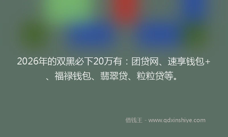 2026年的双黑必下20万有：团贷网、速享钱包+、福禄钱包、翡翠贷、粒粒贷等。
