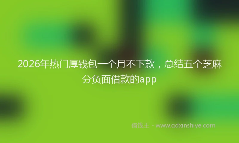2026年热门厚钱包一个月不下款，总结五个芝麻分负面借款的app