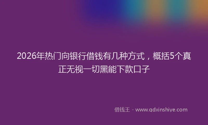 2026年热门向银行借钱有几种方式，概括5个真正无视一切黑能下款口子