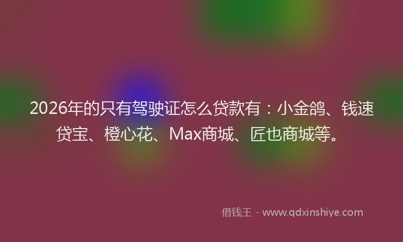 2026年的只有驾驶证怎么贷款有：小金鸽、钱速贷宝、橙心花、Max商城、匠也商城等。