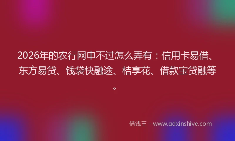 2026年的农行网申不过怎么弄有：信用卡易借、东方易贷、钱袋快融途、桔享花、借款宝贷融等。