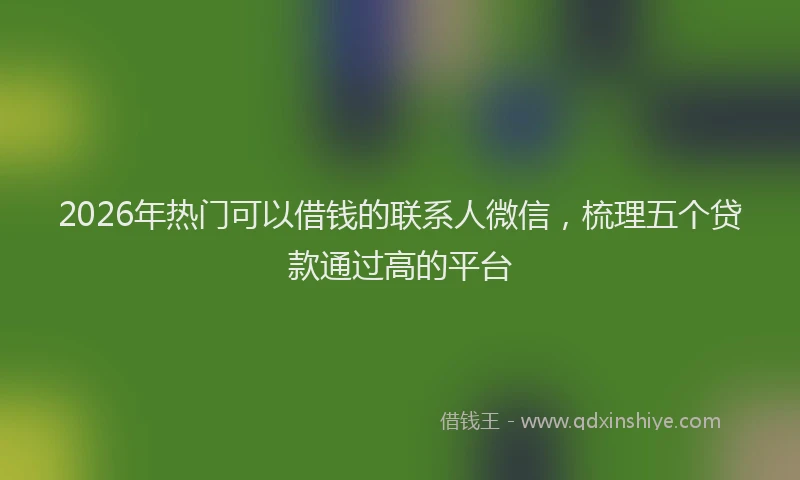 2026年热门可以借钱的联系人微信，梳理五个贷款通过高的平台