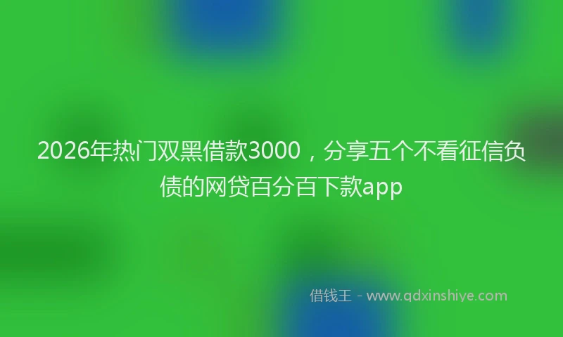 2026年热门双黑借款3000，分享五个不看征信负债的网贷百分百下款app