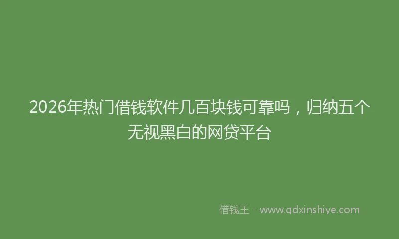 2026年热门借钱软件几百块钱可靠吗，归纳五个无视黑白的网贷平台