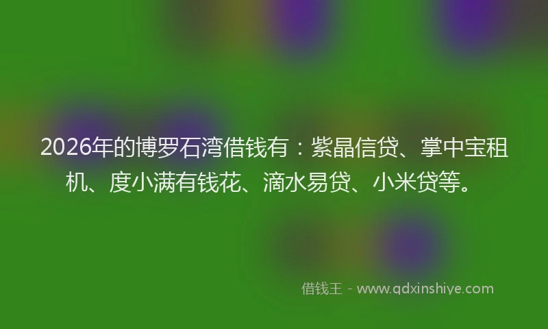 2026年的博罗石湾借钱有：紫晶信贷、掌中宝租机、度小满有钱花、滴水易贷、小米贷等。