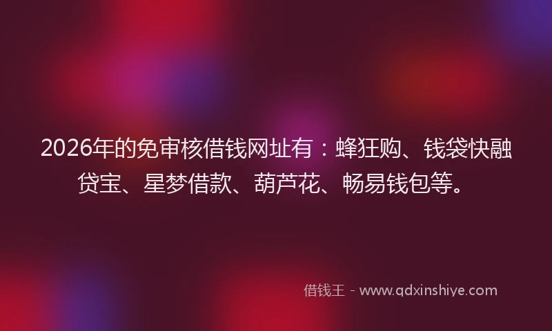 2026年的免审核借钱网址有：蜂狂购、钱袋快融贷宝、星梦借款、葫芦花、畅易钱包等。