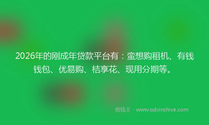 2026年的刚成年贷款平台有：蛮想购租机、有钱钱包、优易购、桔享花、现用分期等。