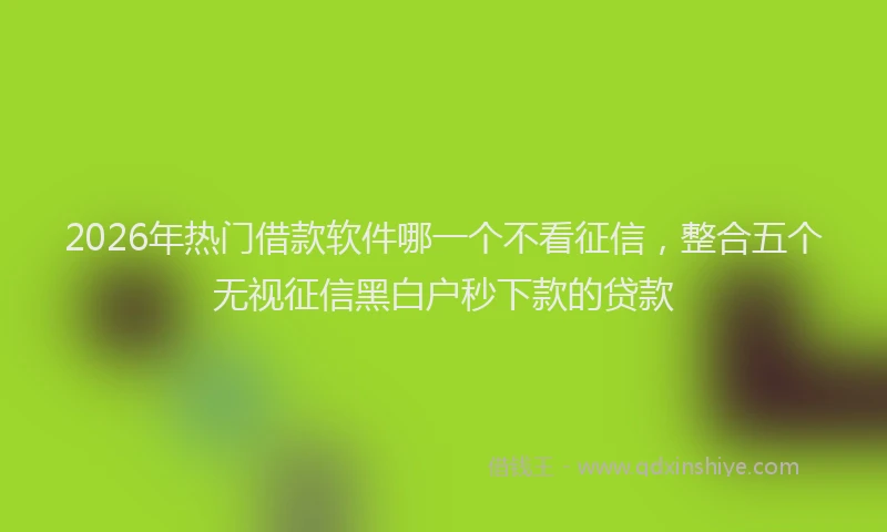 2026年热门借款软件哪一个不看征信，整合五个无视征信黑白户秒下款的贷款