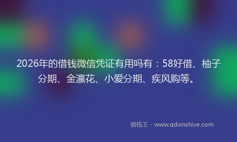 2026年的借钱微信凭证有用吗有：58好借、柚子分期、金瀛花、小爱分期、疾风购等。