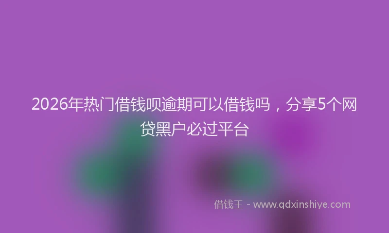 2026年热门借钱呗逾期可以借钱吗，分享5个网贷黑户必过平台
