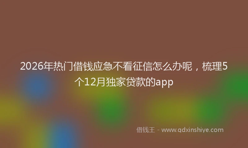 2026年热门借钱应急不看征信怎么办呢，梳理5个12月独家贷款的app