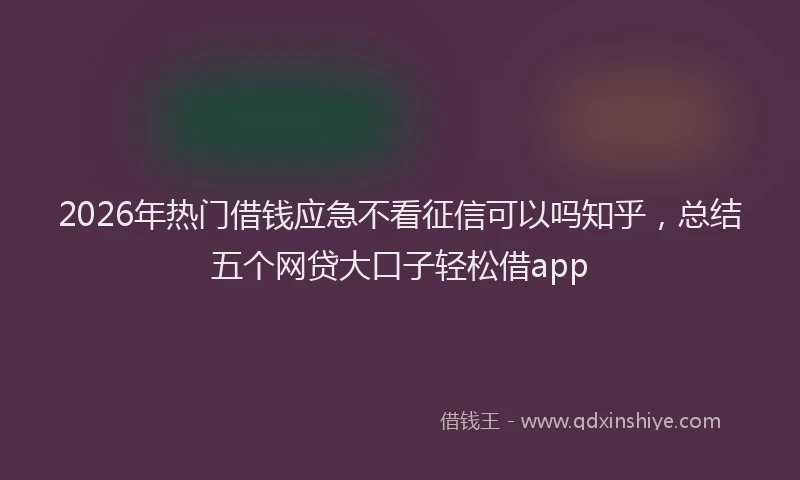 2026年热门借钱应急不看征信可以吗知乎，总结五个网贷大口子轻松借app