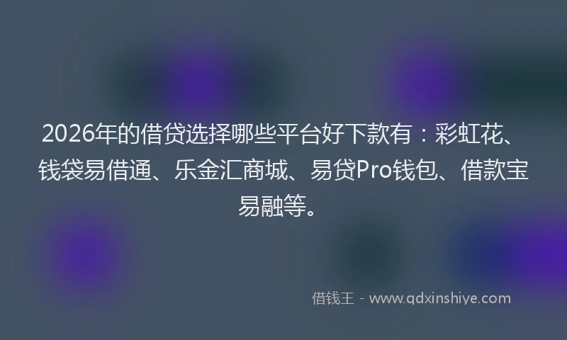 2026年的借贷选择哪些平台好下款有：彩虹花、钱袋易借通、乐金汇商城、易贷Pro钱包、借款宝易融等。