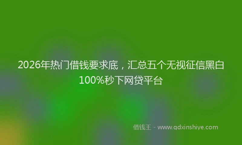 2026年热门借钱要求底，汇总五个无视征信黑白100%秒下网贷平台