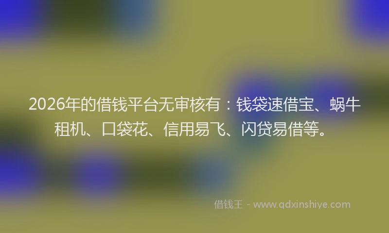 2026年的借钱平台无审核有：钱袋速借宝、蜗牛租机、口袋花、信用易飞、闪贷易借等。