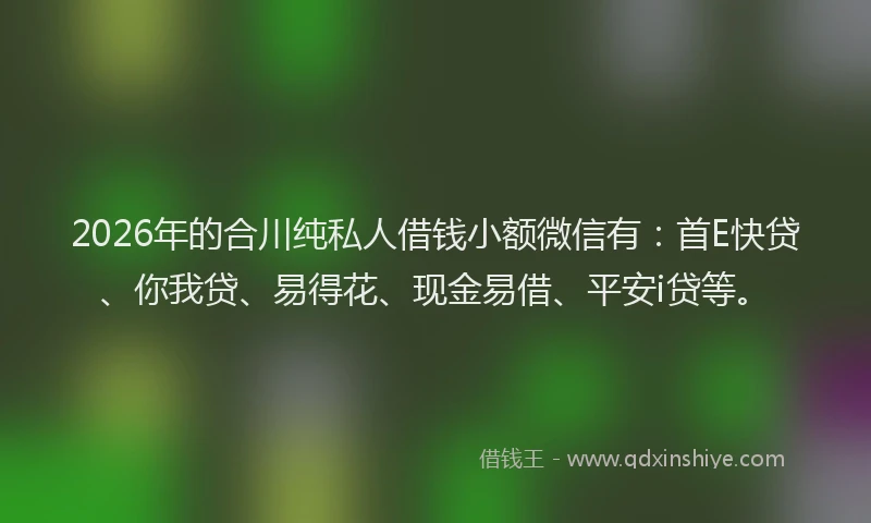 2026年的合川纯私人借钱小额微信有：首E快贷、你我贷、易得花、现金易借、平安i贷等。