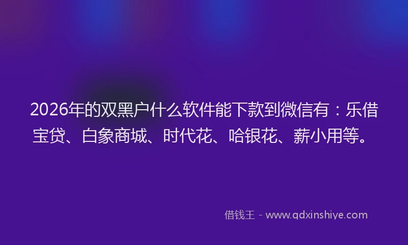 2026年的双黑户什么软件能下款到微信有：乐借宝贷、白象商城、时代花、哈银花、薪小用等。