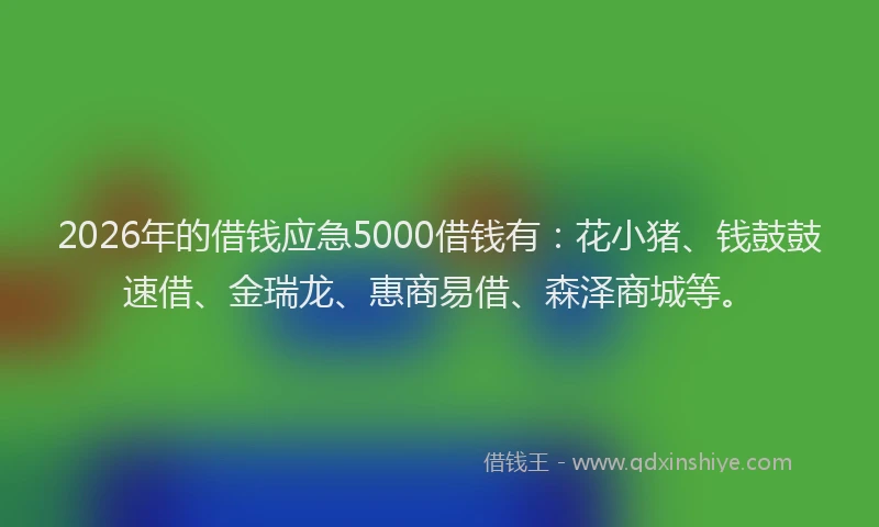 2026年的借钱应急5000借钱有：花小猪、钱鼓鼓速借、金瑞龙、惠商易借、森泽商城等。