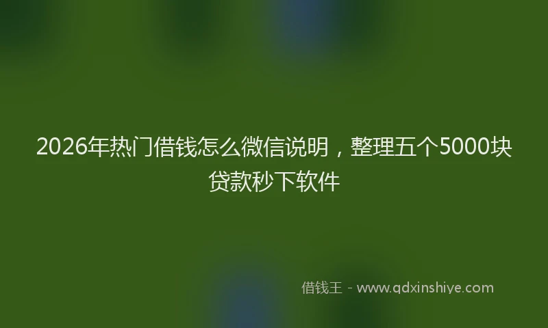 2026年热门借钱怎么微信说明，整理五个5000块贷款秒下软件